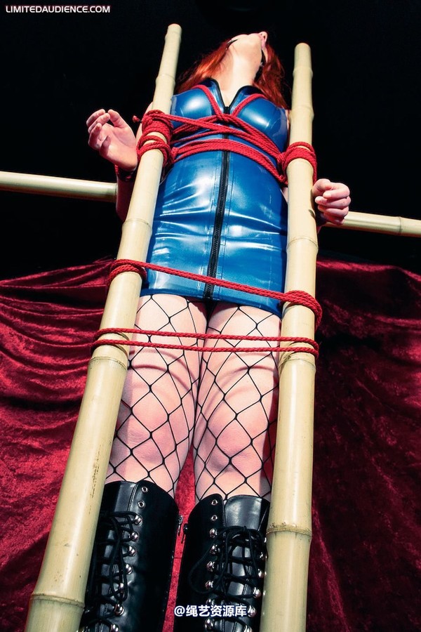 limitedaudience - 2009 ivory bamboo torment 2 第 6 张图片