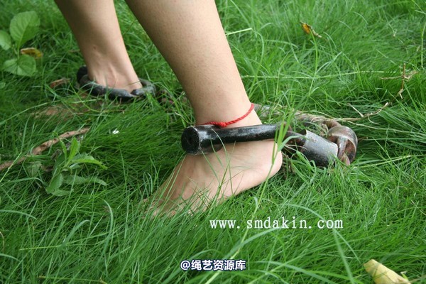 锐度主张 - 2009年第二十八期镣铐图（2009.8.21） 第 87 张图片