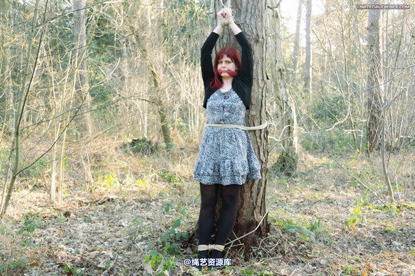 limitedaudience - 2012 scarlett far from help 第 34 张图片