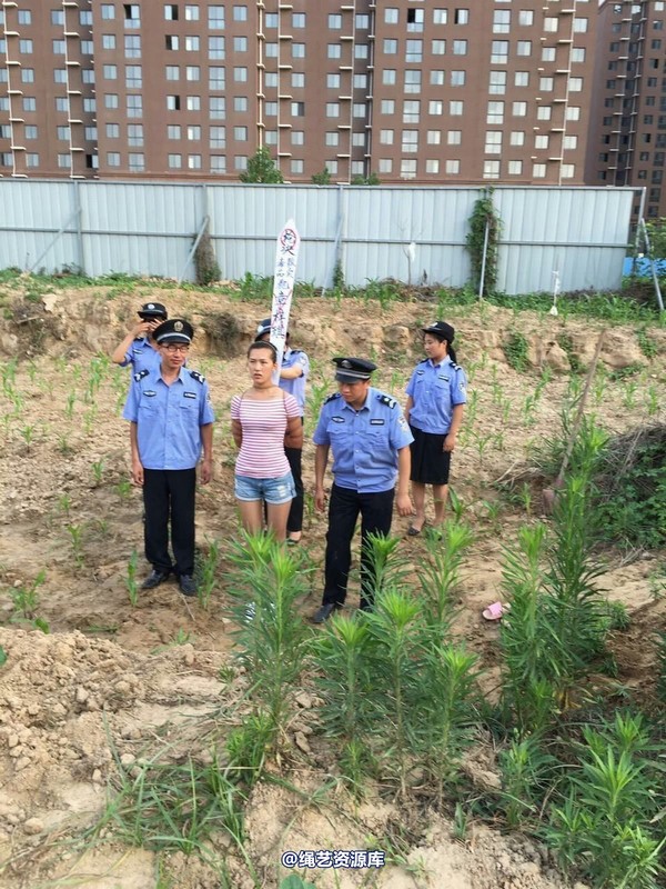 mj影视 - 贩毒女孩紫琪 第 70 张图片