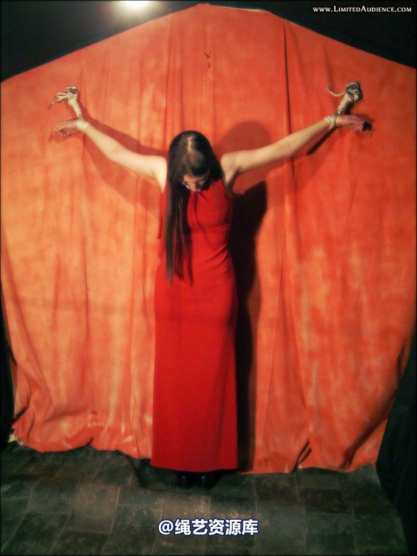 limitedaudience - 2007 ivory at your mercy 第 2 张图片