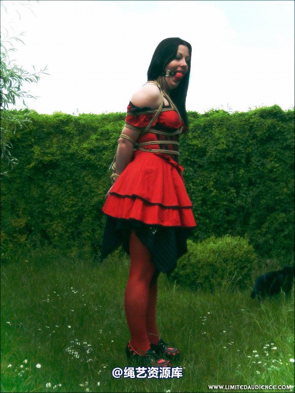 limitedaudience - 2007 asphyxia tied in red 第 13 张图片