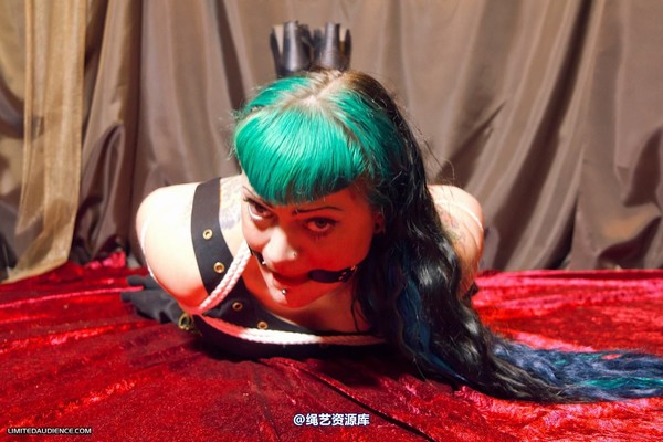 limitedaudience - 2012 raevan hogtied 第 1 张图片