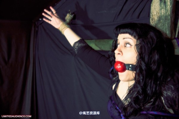 limitedaudience - 2009 veriddian hoissy 2 第 6 张图片