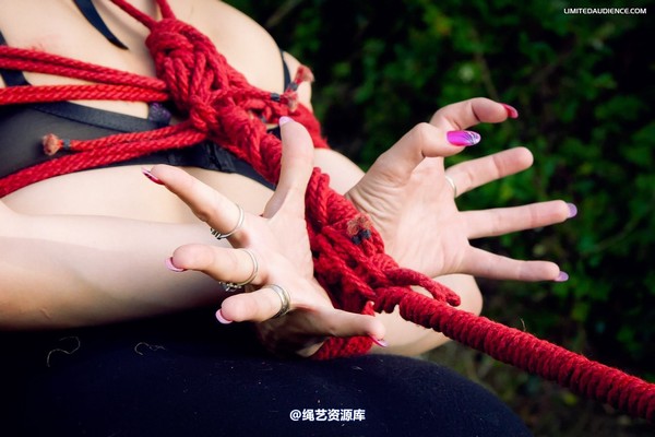 limitedaudience - 2012 elyssia tables turned 2 第 28 张图片