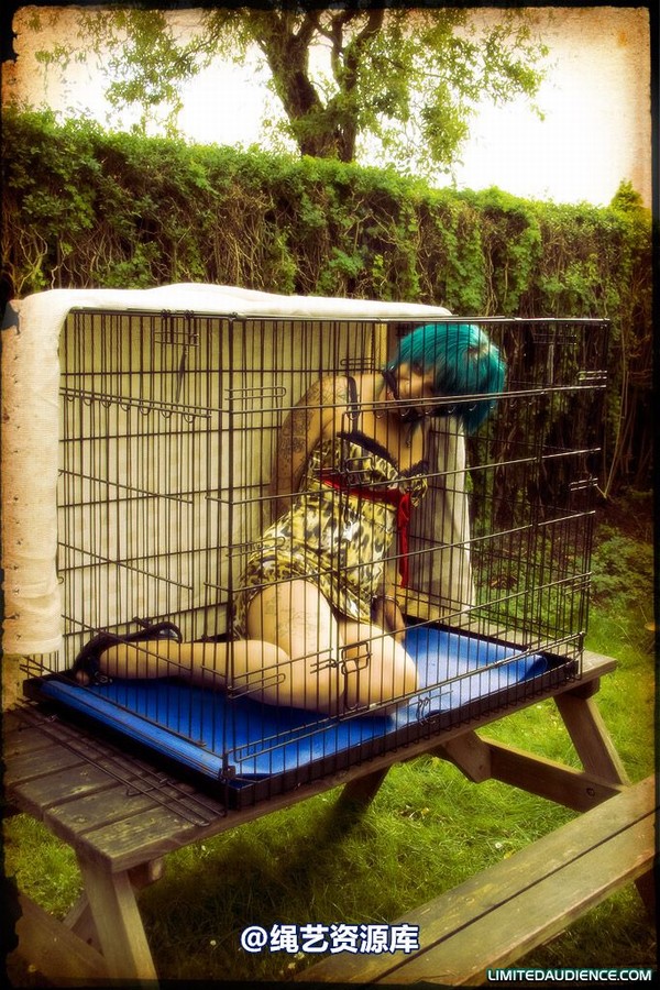 limitedaudience - 2009 b caged animal 第 28 张图片