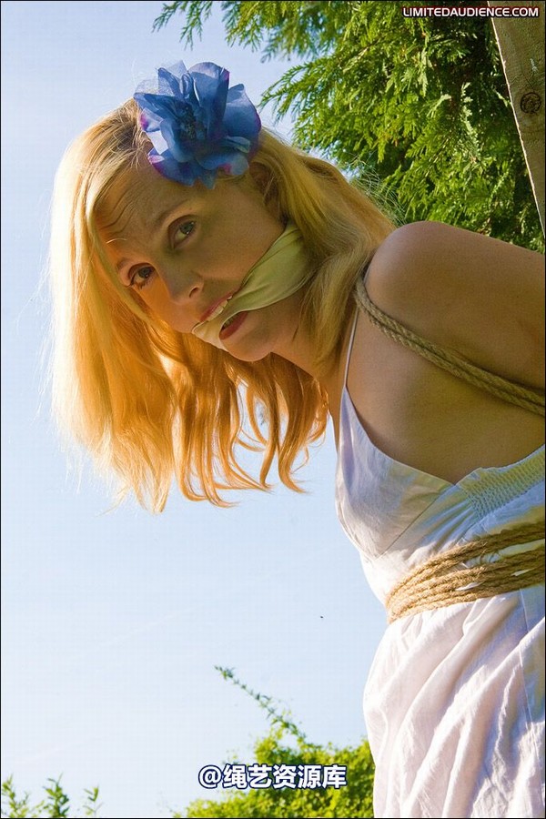 limitedaudience - 2008 ariel tied in the sun 第 41 张图片