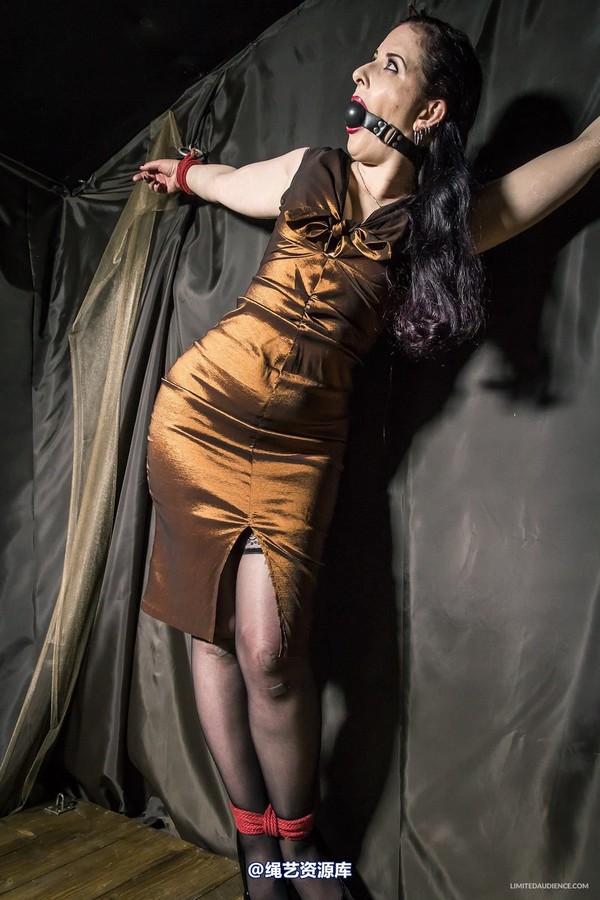 limitedaudience - 2015 caroline pierce bondage in bronze 2 第 27 张图片
