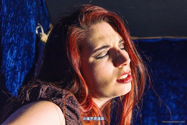 limitedaudience - 2013 ivory not what she meant 第 4 张图片