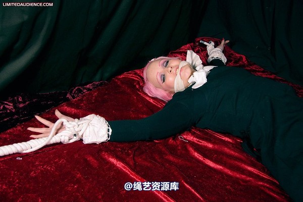 limitedaudience - 2009 assisted suicide internet date 第 17 张图片