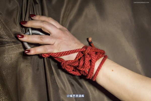 limitedaudience - 2014 ammalia up against the wall 第 2 张图片