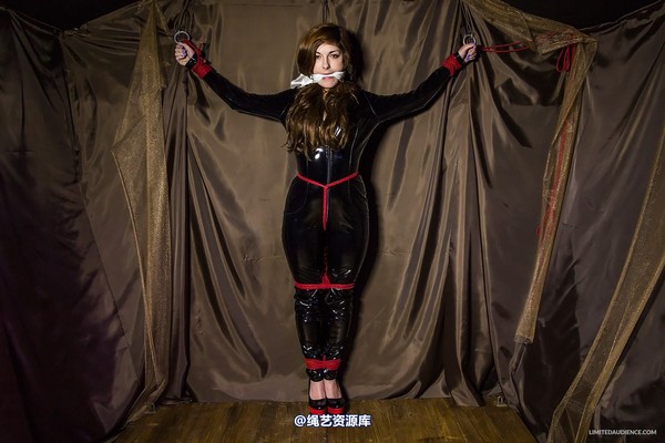 limitedaudience - 2014 trisha captured catburglar 第 12 张图片