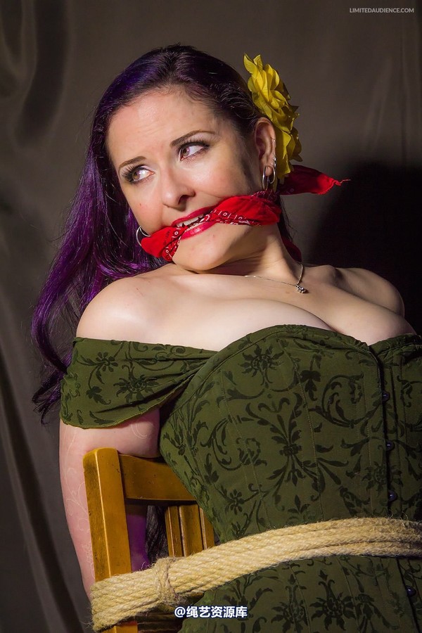 limitedaudience - 2014 caroline pierce captured damsel 2 第 7 张图片