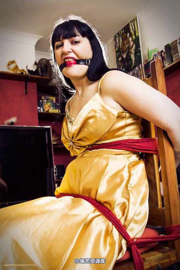 limitedaudience - 2013 dynamo golden satin 第 9 张图片