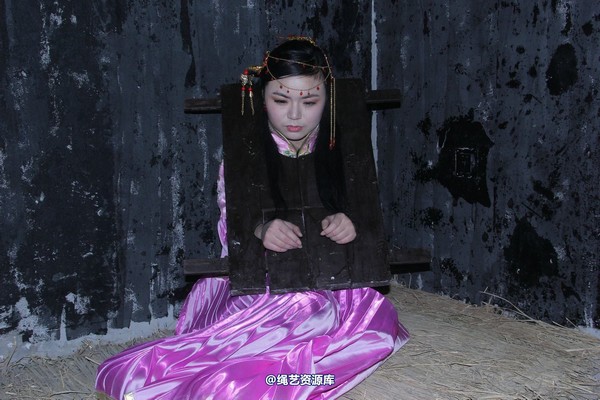 胜景山庄 - 249-新模囚枷 第 2 张图片