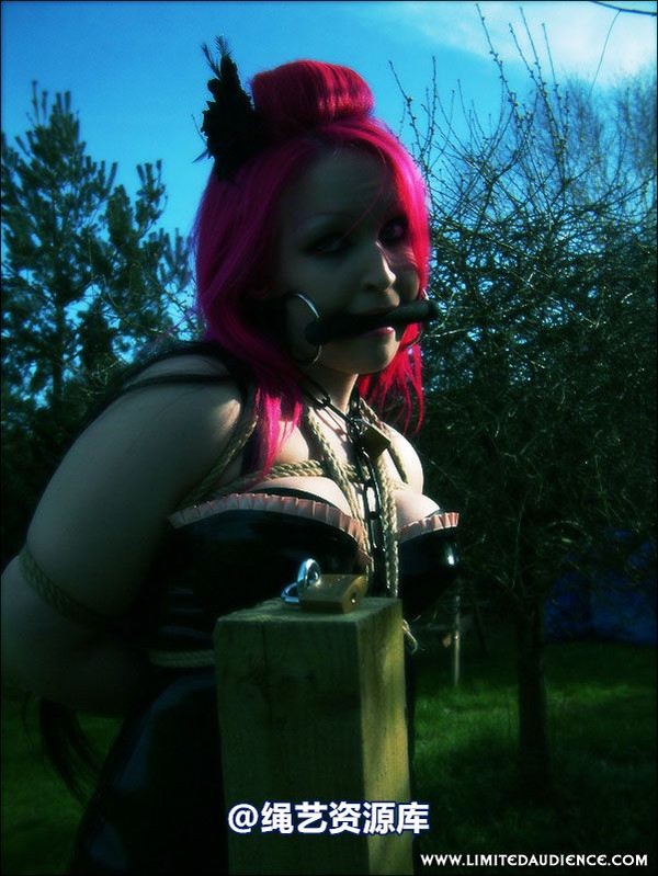 limitedaudience - 2007 assisted suicide at the slave market 第 43 张图片