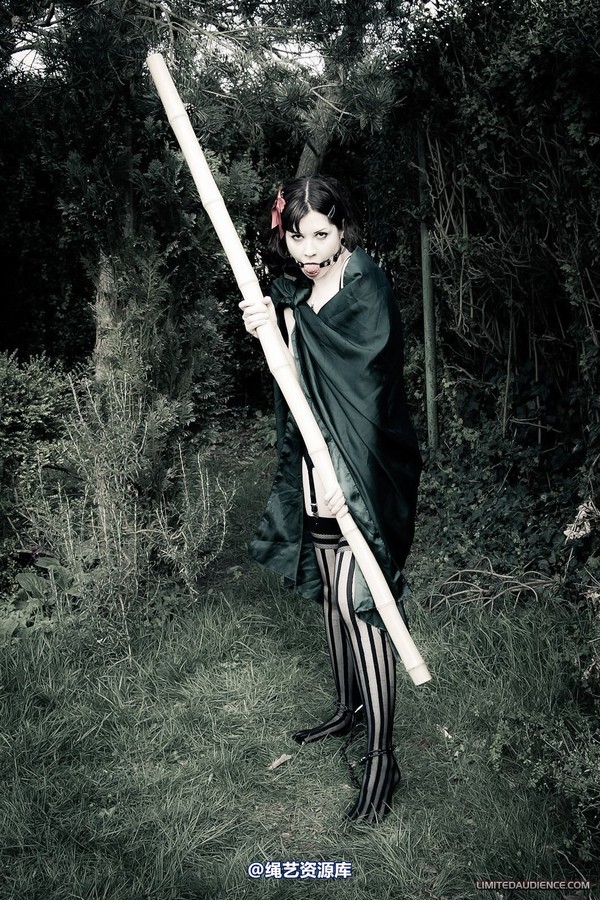 limitedaudience - 2012 dominick destruction another escape attempt 第 17 张图片