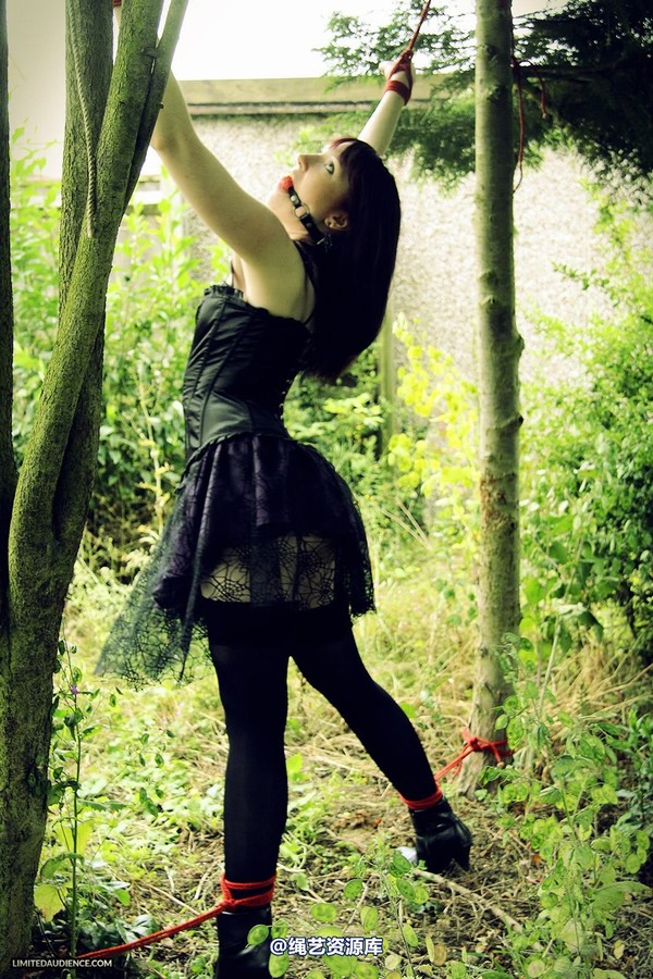 limitedaudience - 2013 syrah lee helpless outdoors 2 第 8 张图片