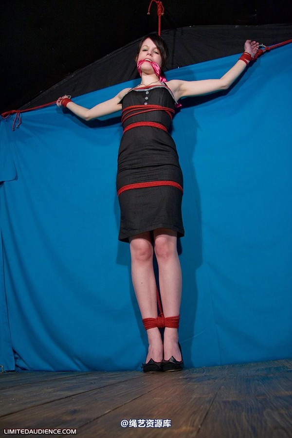 limitedaudience - 2010 luisa tied to the wall 第 26 张图片
