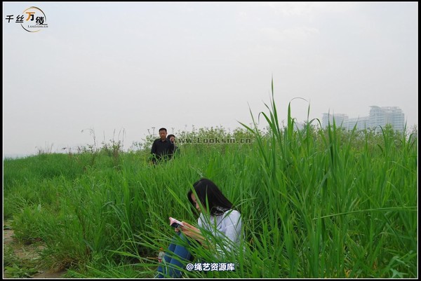 千丝万缕 - 2008-04-06日照片 第 42 张图片