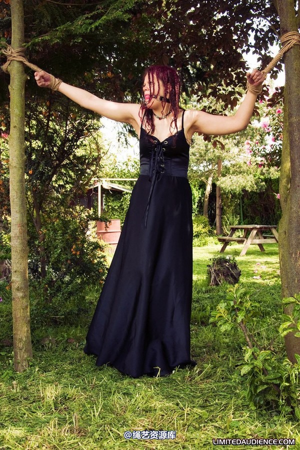 limitedaudience - 2010 beckykat between trees 第 20 张图片