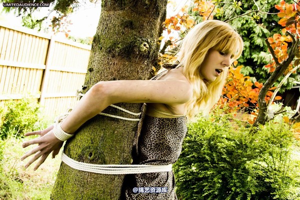 limitedaudience - 2011 ariel tied to a tree 第 11 张图片