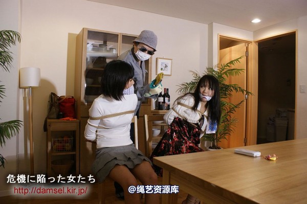 jpdamsel - 20120115 もし泥棒に�uわれたら 第 17 张图片