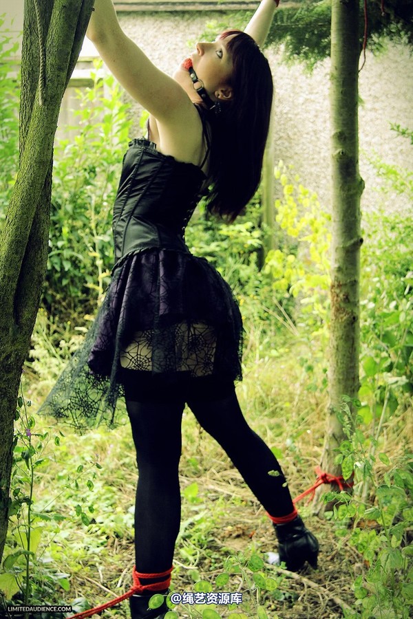 limitedaudience - 2013 syrah lee helpless outdoors 2 第 9 张图片