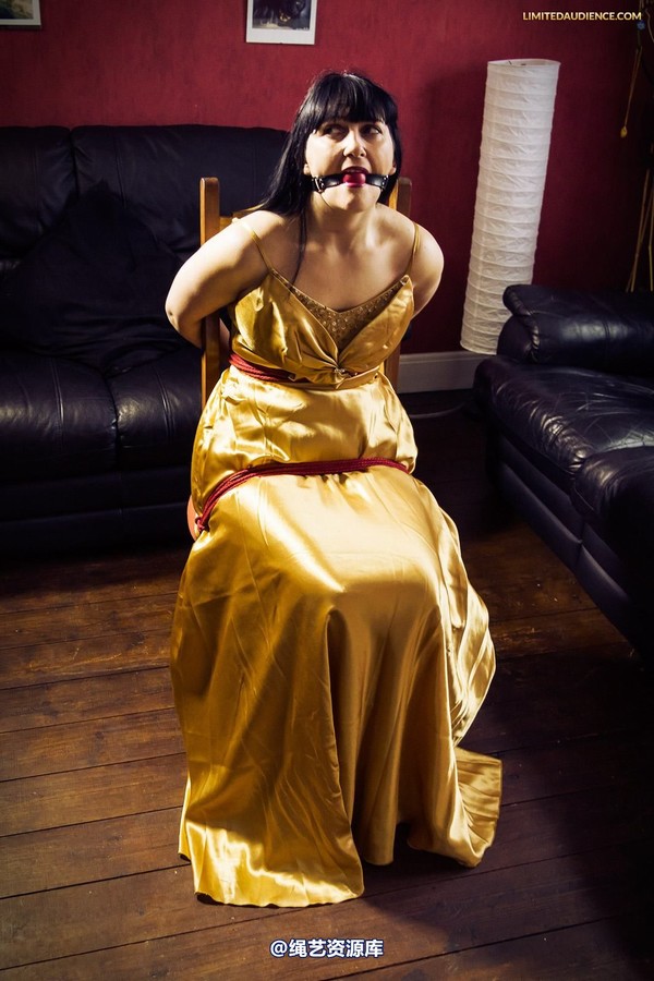 limitedaudience - 2013 dynamo golden satin 2 第 14 张图片