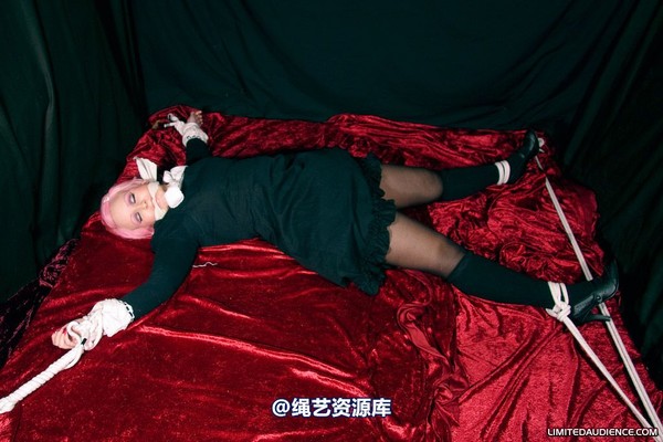 limitedaudience - 2009 assisted suicide internet date 第 49 张图片