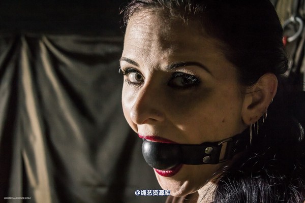 limitedaudience - 2015 caroline pierce bondage in bronze 2 第 10 张图片