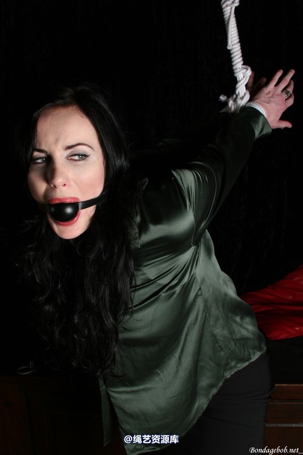 bondagebob - Morrigan Strung up in the dark 第 55 张图片