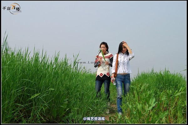 千丝万缕 - 2008-04-06日照片 第 15 张图片