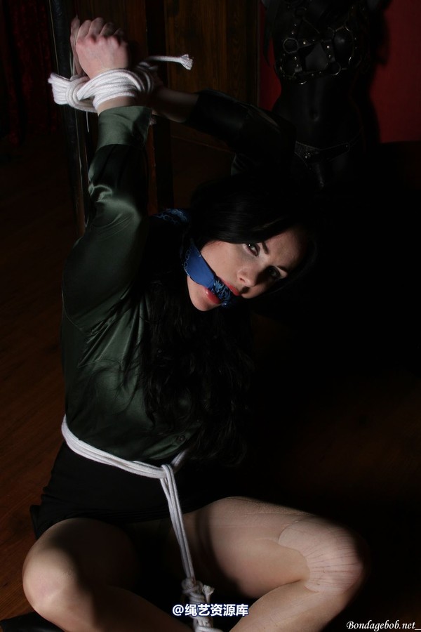 bondagebob - Morrigan Lets have a pole 第 50 张图片