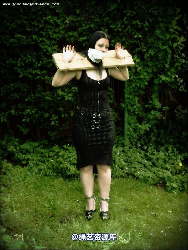 limitedaudience - 2007 asphyxia silenced secretary 第 6 张图片