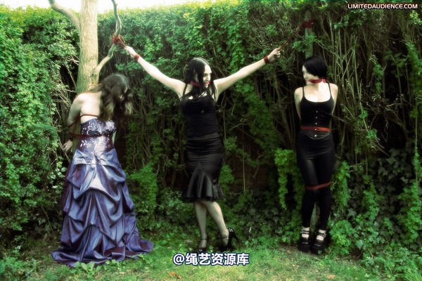 limitedaudience - 2009 catya elyssia lolly pleasure reserves 2 第 34 张图片