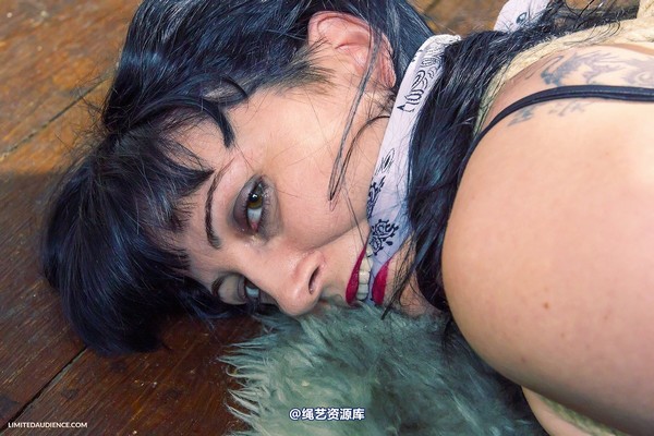 limitedaudience - 2013 dynamo hogtied 第 17 张图片