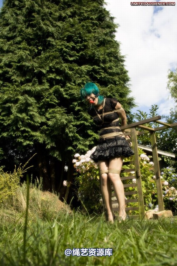 limitedaudience - 2009 b captive pixie 第 14 张图片