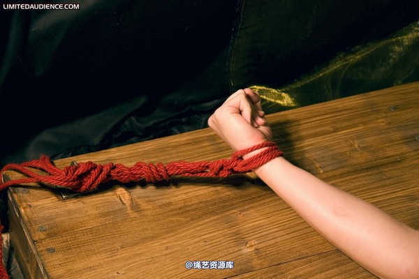 limitedaudience - 2010 scarlett exposed 第 14 张图片