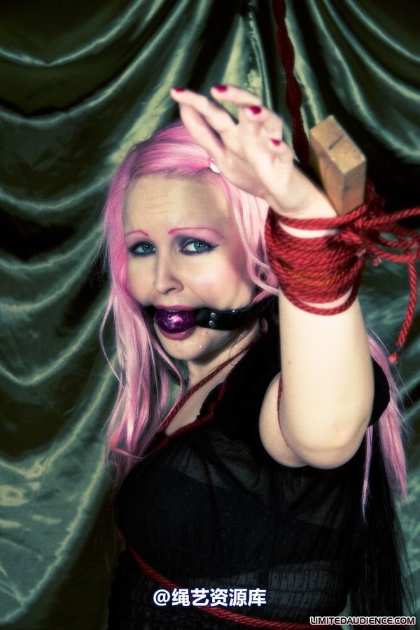 limitedaudience - 2009 assisted suicide profoundly entangled 第 15 张图片