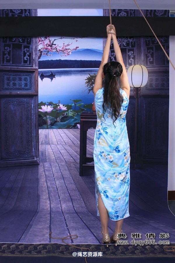 典雅倩影 - 018-“静”神凝思仰青冥，“雅”弄虽云已变乱 第 93 张图片