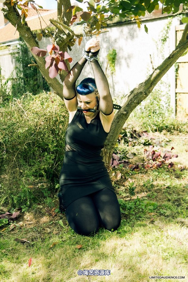 limitedaudience - 2012 raevan tied and tamed 第 31 张图片