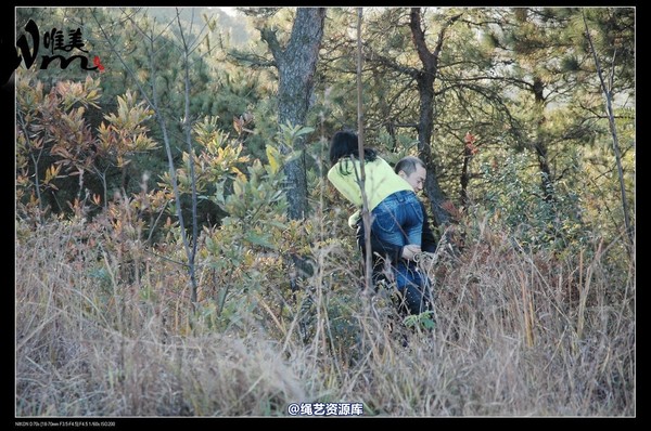唯美之家 - 2008-11-27萧雅 第 63 张图片