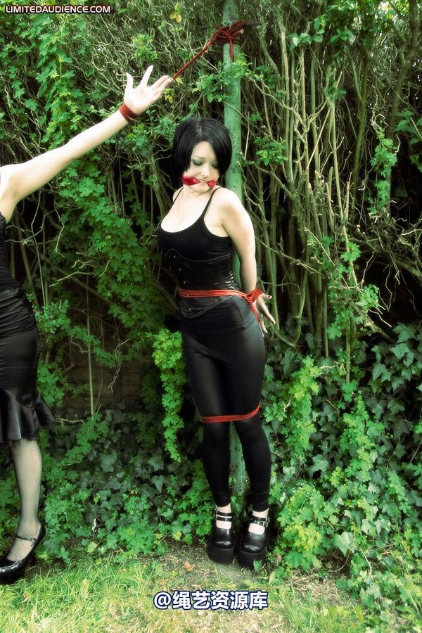 limitedaudience - 2009 catya elyssia lolly pleasure reserves 第 2 张图片