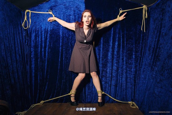 limitedaudience - 2013 ivory not what she meant 第 19 张图片