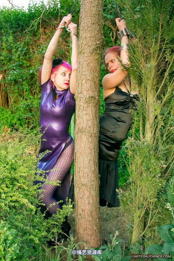 limitedaudience - 2011 beckykat loltaru chained tree seesaw 第 17 张图片