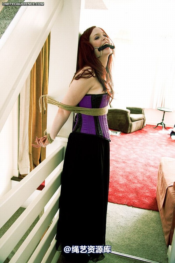 limitedaudience - 2009 brede the party slave two part 2 第 17 张图片