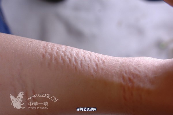 中华一晓 - 中华一晓 NO.0118 第 210 张图片
