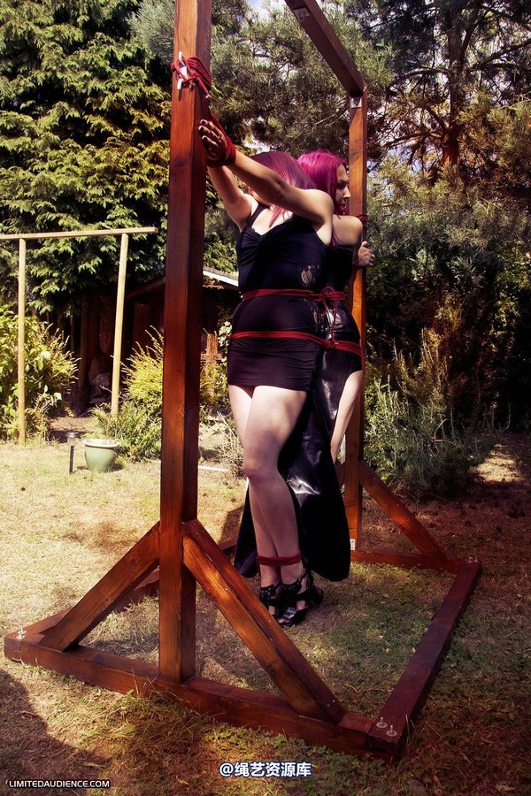 limitedaudience - 2012 elyssia violet reign two for one 3 第 3 张图片