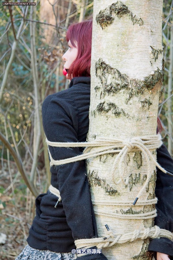 limitedaudience - 2012 scarlett stuck in the woods 第 3 张图片